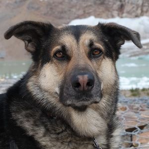 Meet your Posher, Cassandra